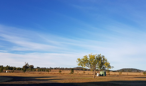 重症康复病房准入标准解析：ICU转出条件与特殊情况应对